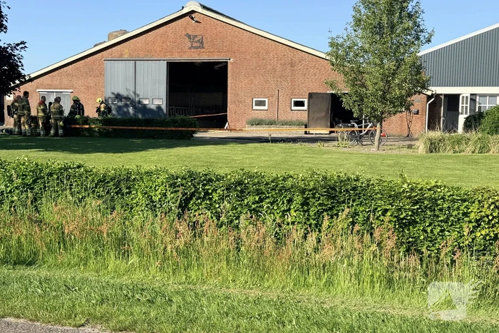Brand in koeienstal zonder gewonden