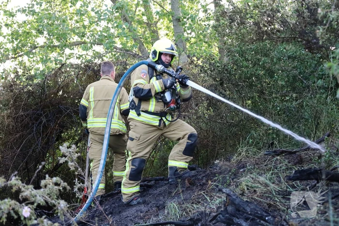 Brand in berm en struikgewas snel onder controle