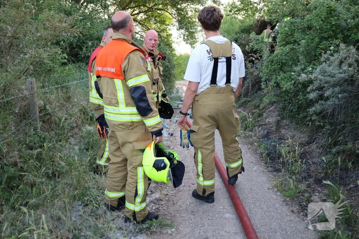 Brand in berm en struikgewas snel onder controle