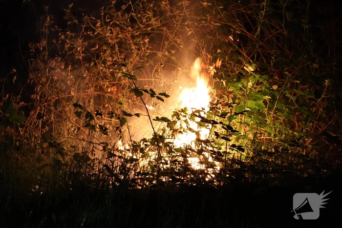Brandweer blust brand in bosgebied