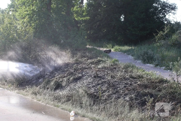 Brandweer bestrijdt flinke duinbrand