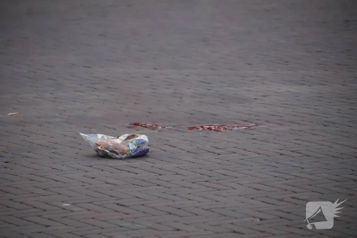 Zwaargewonde na mishandeling voor station Leiden Centraal