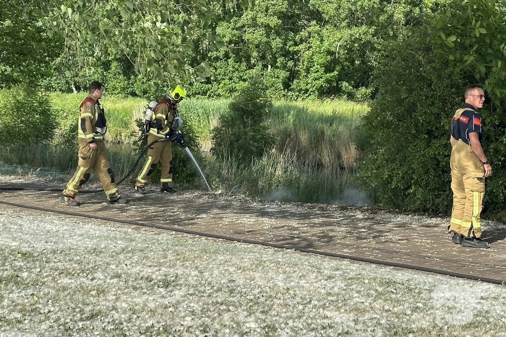 West Havendijk Nieuws Dirksland 