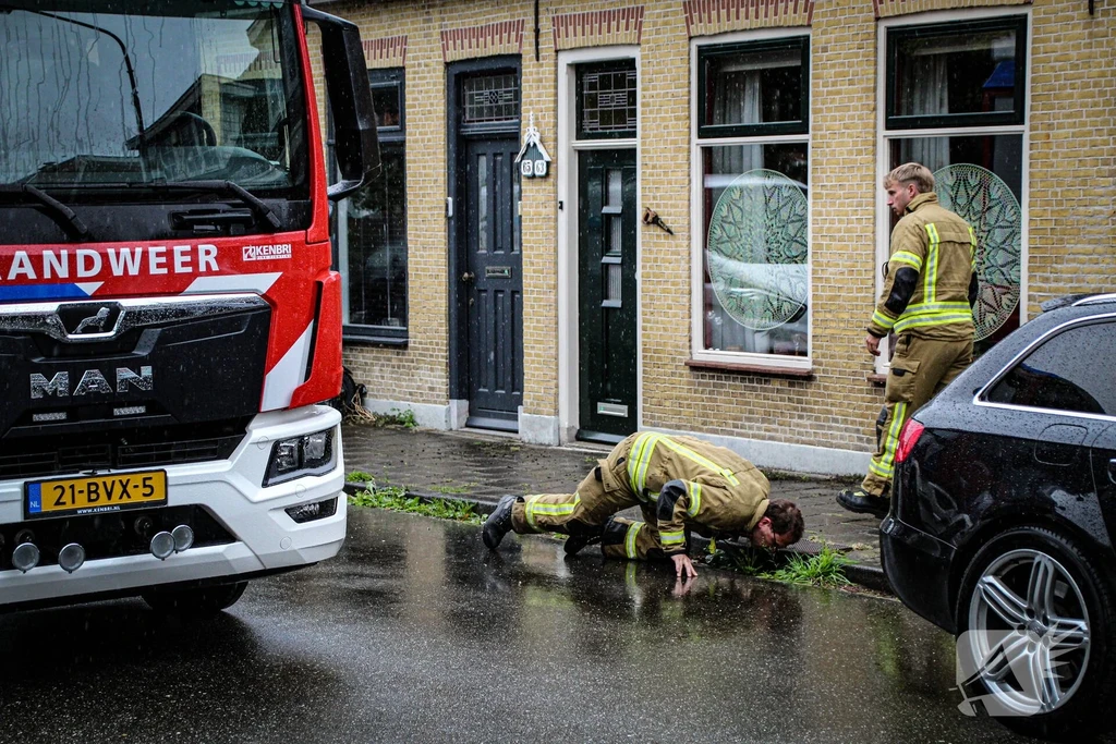 Zuidendijk Nieuws Dordrecht 