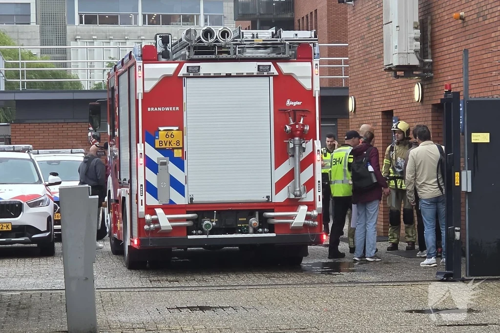 Boompjesgoed Nieuws Veenendaal 