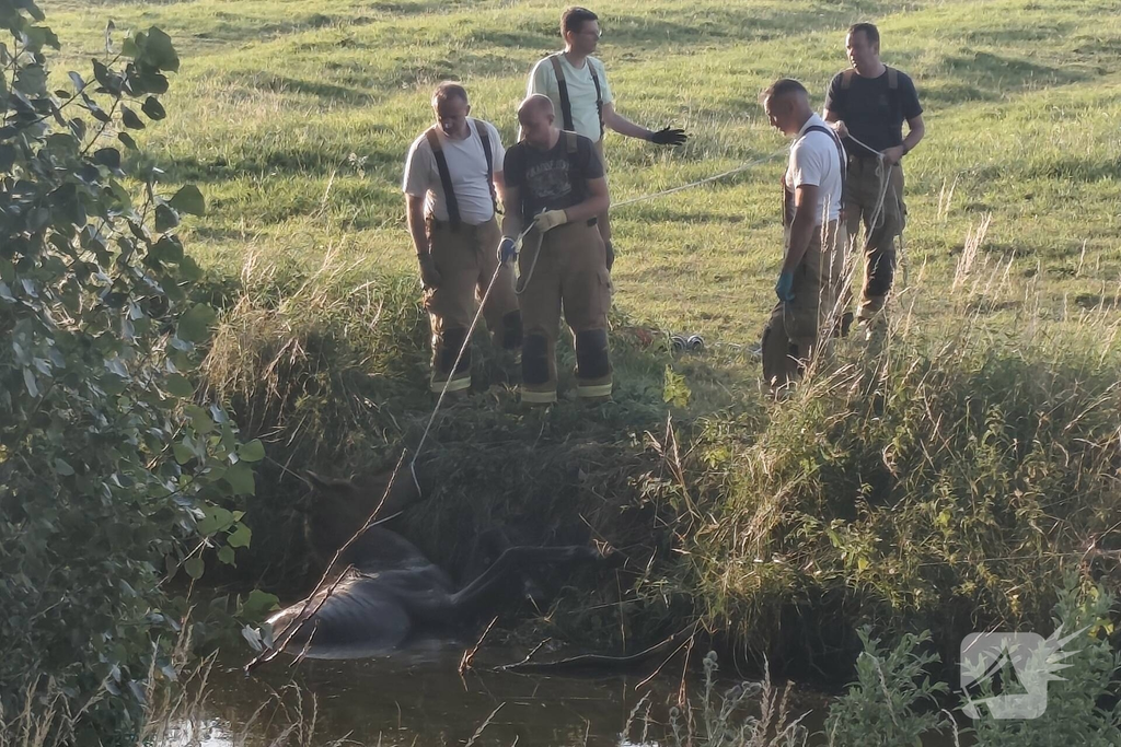 Oudendijk 112 melding Strijen 