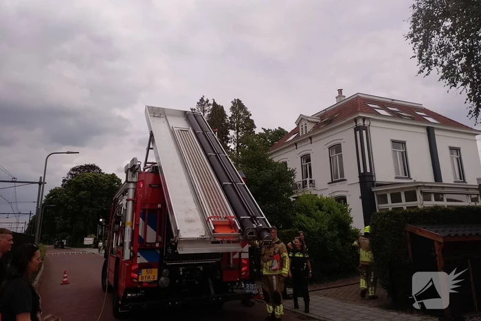 Brand in coniferen Haag veroorzaak flinke rookontwikkeling