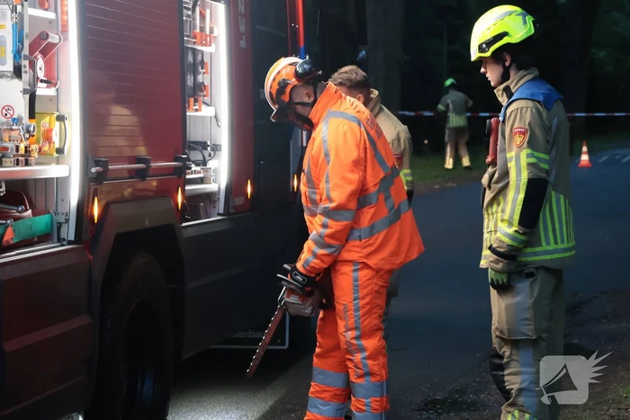 Boom valt op geparkeerde auto