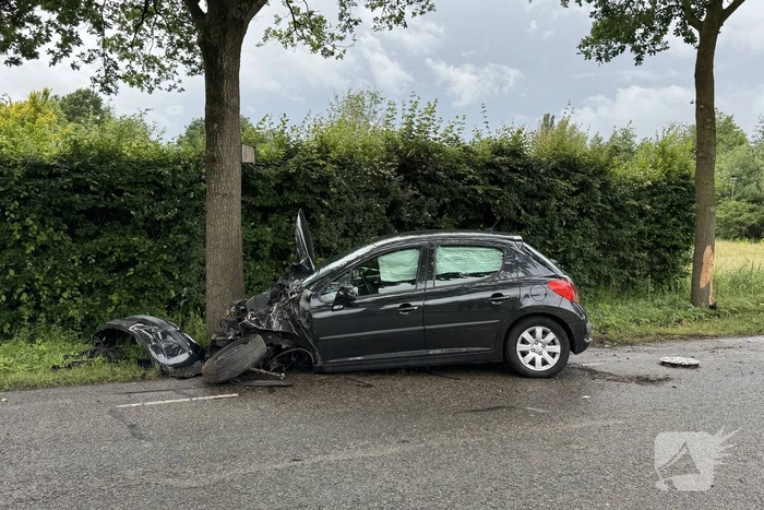 Auto total-loss na raken van bomen en bord