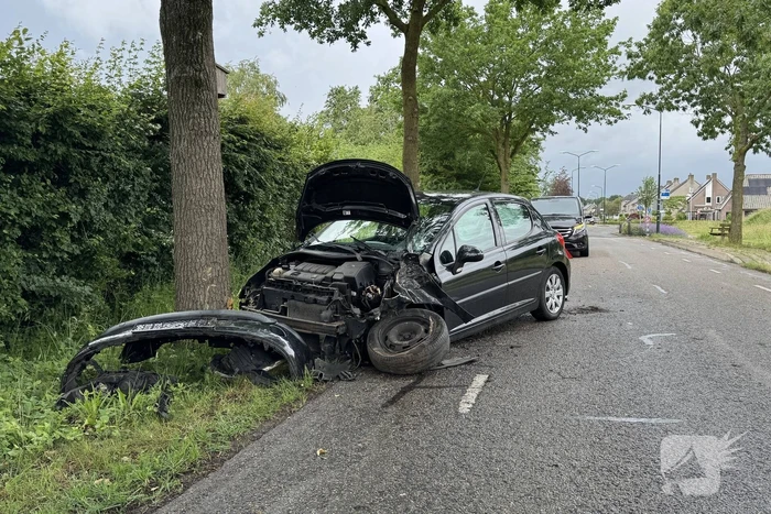 Auto total-loss na raken van bomen en bord