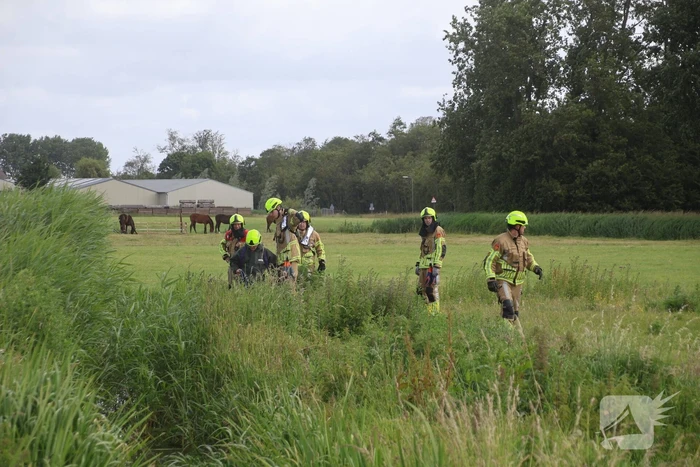 Brandweer redt paard uit water