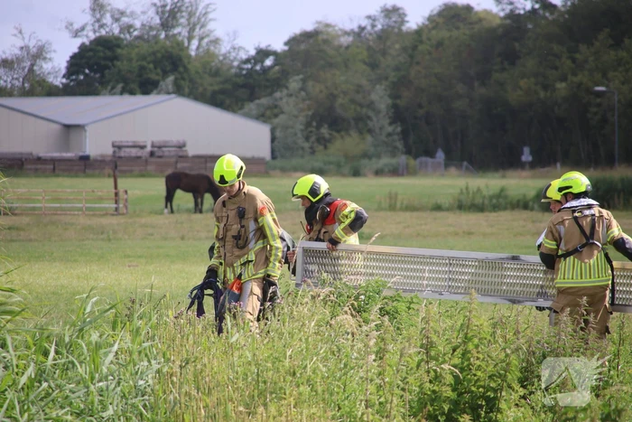Brandweer redt paard uit water