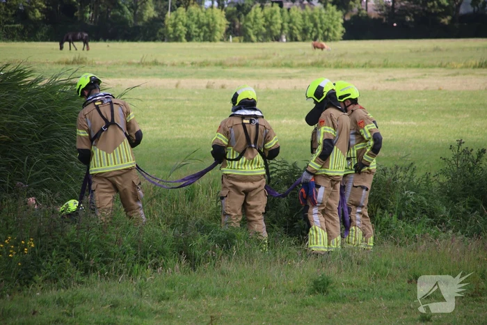 Brandweer redt paard uit water