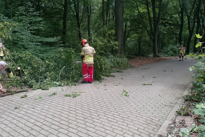 Brandweer ingeschakeld voor stormschade