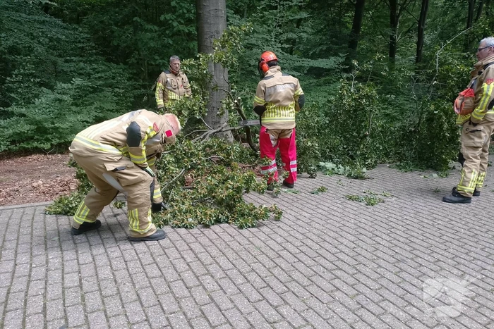 Brandweer ingeschakeld voor stormschade