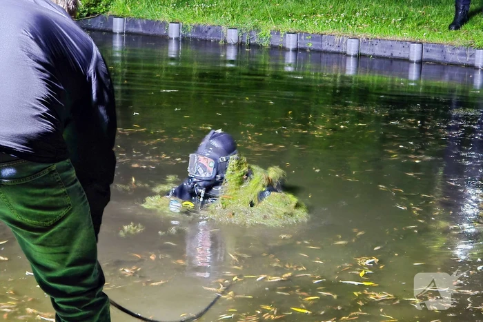 Duikers zoeken naar vuurwapen na schietpartij