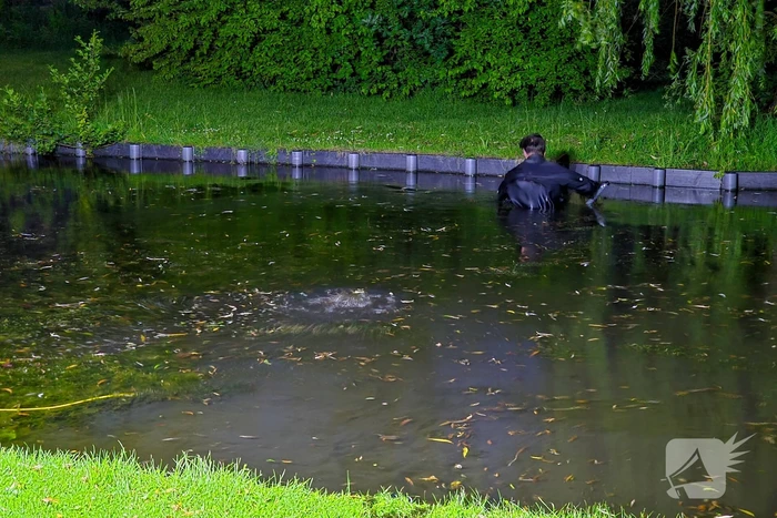 Duikers zoeken naar vuurwapen na schietpartij
