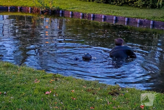Duikers zoeken naar vuurwapen na schietpartij