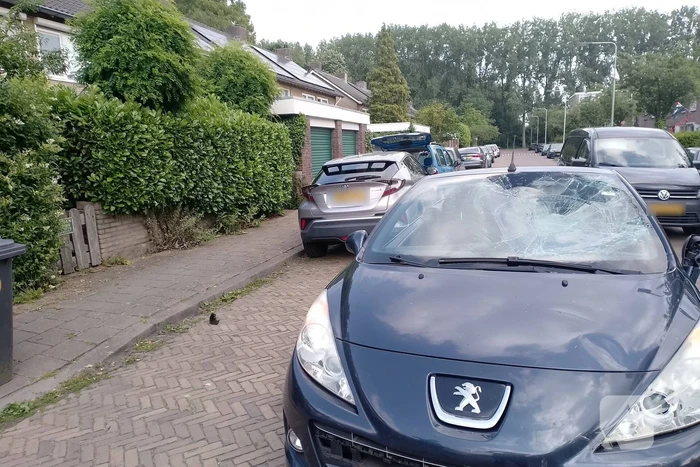 Ongeval tussen auto en speedpedelec