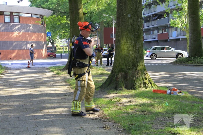Grote tak valt op flat en veroorzaakt schade