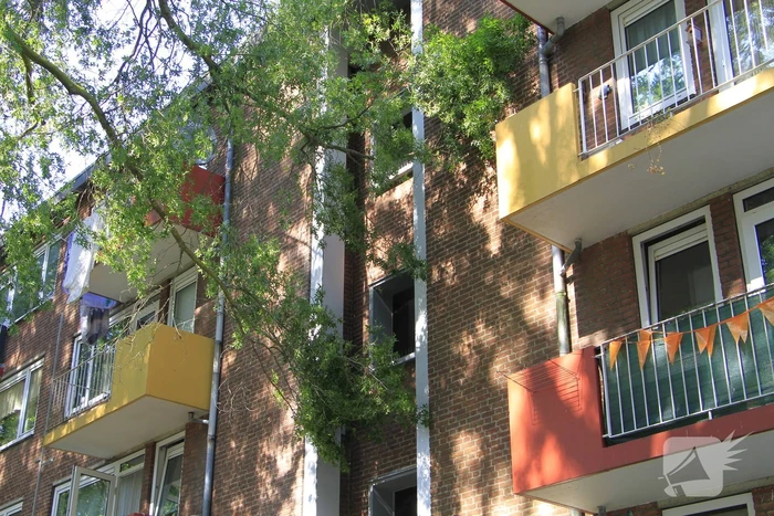 Grote tak valt op flat en veroorzaakt schade