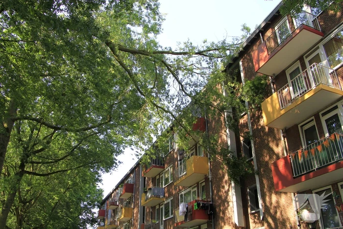 Grote tak valt op flat en veroorzaakt schade