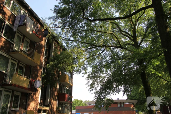 Grote tak valt op flat en veroorzaakt schade