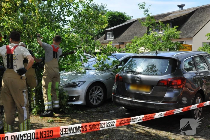 Geparkeerde personenauto's beschadigd door omgevallen boom