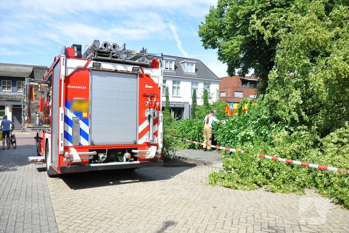 Geparkeerde personenauto's beschadigd door omgevallen boom
