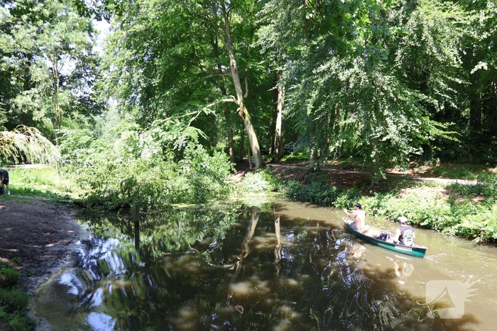 Storm richt ravage aan in park: paden geblokkeerd en gevaar door loshangende takken
