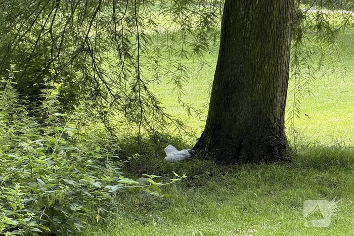 EOD ingeschakeld voor meerdere Cobra's in centrum