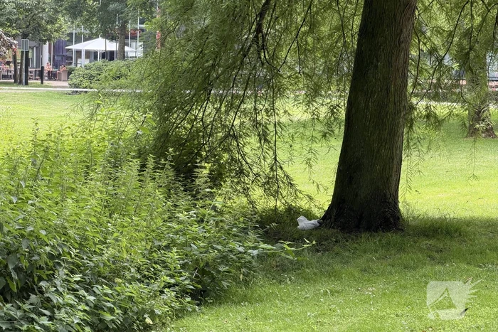 EOD ingeschakeld voor meerdere Cobra's in centrum