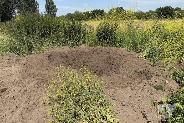 EOD ingeschakeld voor meerdere Cobra's in centrum