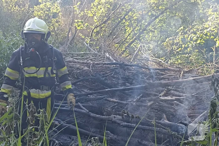 Brandweer ingezet voor brandende takken