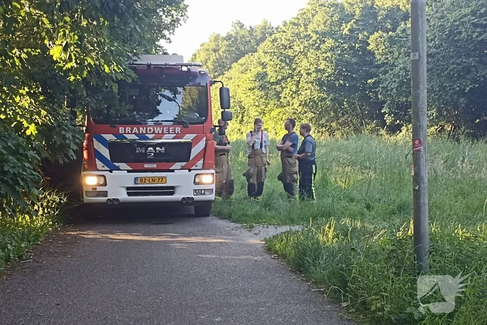 Brandweer ingezet voor brandende takken