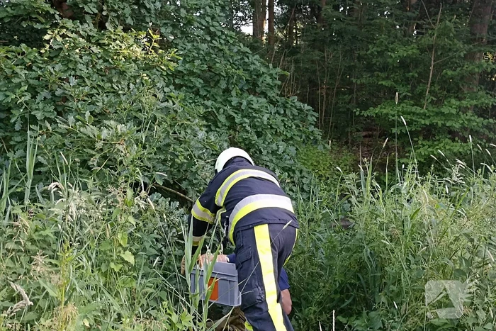 Brandweer ingezet voor brandende takken