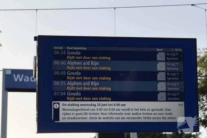 nieuws wingerd waddinxveen