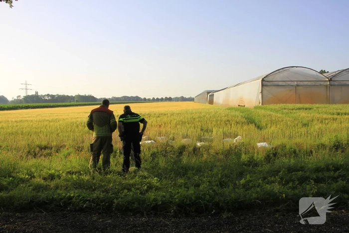 Dampende vaatjes gedumpt langs de weg