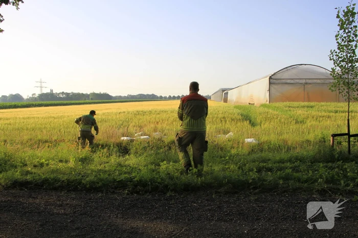 Dampende vaatjes gedumpt langs de weg
