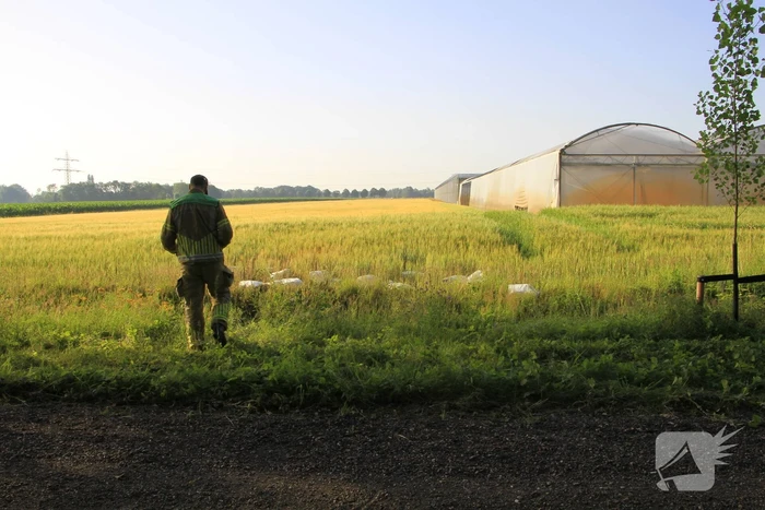 Dampende vaatjes gedumpt langs de weg