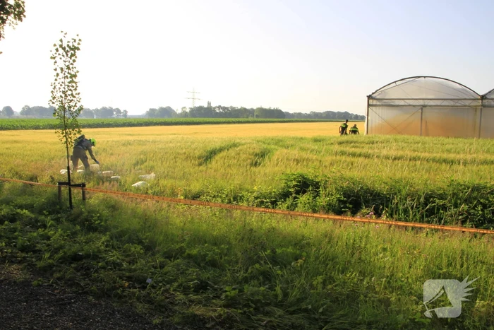 Dampende vaatjes gedumpt langs de weg