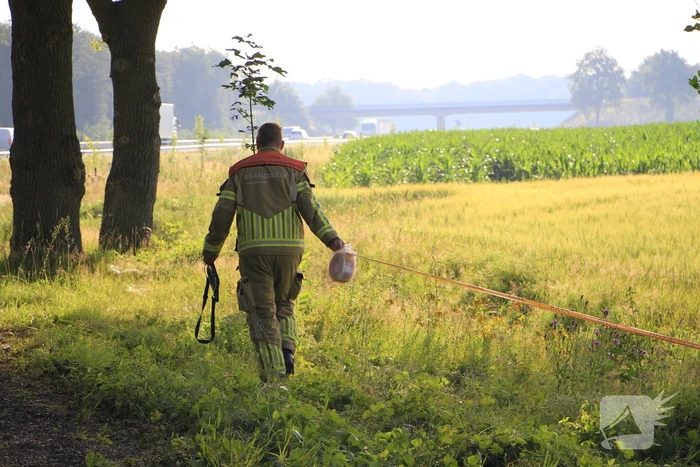Dampende vaatjes gedumpt langs de weg