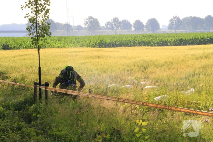 Dampende vaatjes gedumpt langs de weg