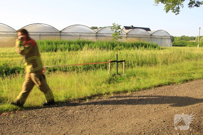 Dampende vaatjes gedumpt langs de weg