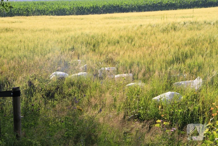 Dampende vaatjes gedumpt langs de weg