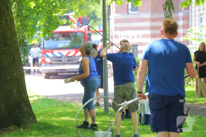 Aap in boom leidt tot brandweerinzet