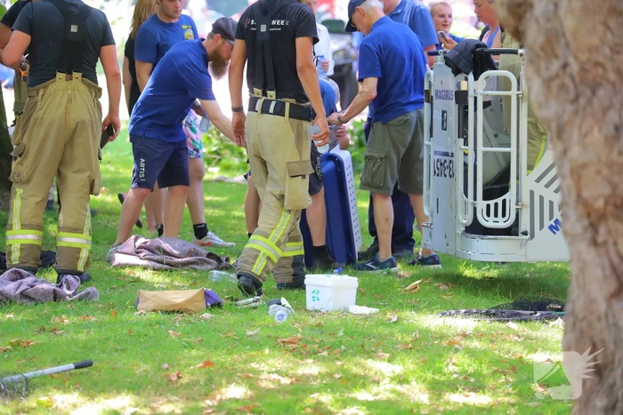 Aap in boom leidt tot brandweerinzet