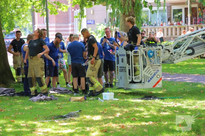 Aap in boom leidt tot brandweerinzet
