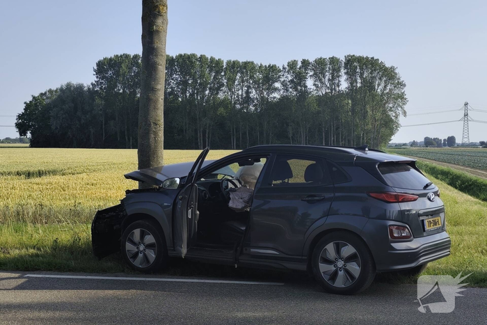 Auto knalt tegen boom langs provinciale weg