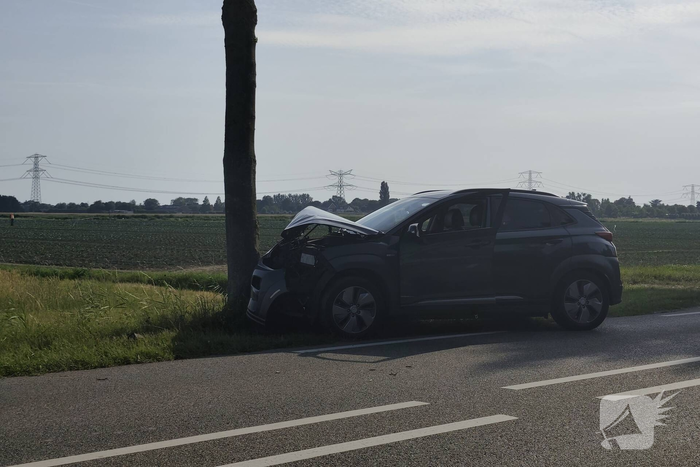 Auto knalt tegen boom langs provinciale weg